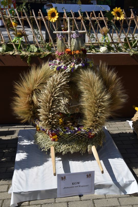 Gm. Łopiennik Górny. Tak świętowano dożynki 2025! [GALERIA ZDJĘĆ] 