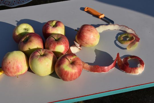 Gm. Łopiennik Górny. Tak świętowano dożynki 2025! [GALERIA ZDJĘĆ] 