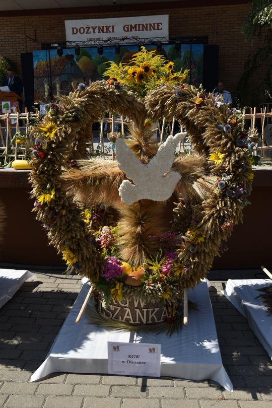 Gm. Łopiennik Górny. Tak świętowano dożynki 2025! [GALERIA ZDJĘĆ] 