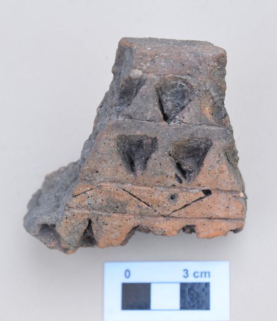 Tajemnice średniowiecznej wieży w Stołpiu odkrywane na nowo [ZDJĘCIA]