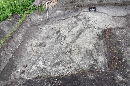 Tajemnice średniowiecznej wieży w Stołpiu odkrywane na nowo [ZDJĘCIA]