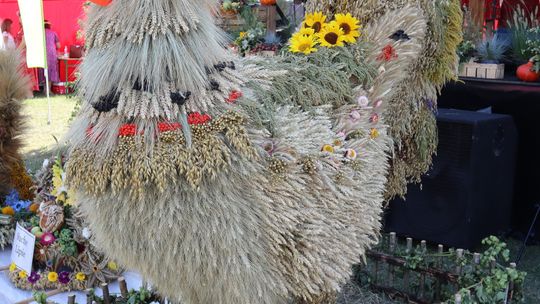 Gm. Rudnik. Dożynek czas! [GALERIA ZDJĘĆ] cz. II