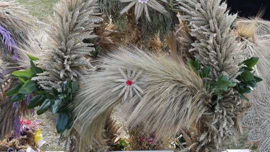 Gm. Rudnik. Dożynek czas! [GALERIA ZDJĘĆ] cz. II