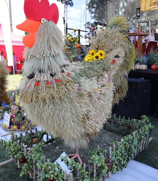 Gm. Rudnik. Dożynek czas! [GALERIA ZDJĘĆ] cz. II