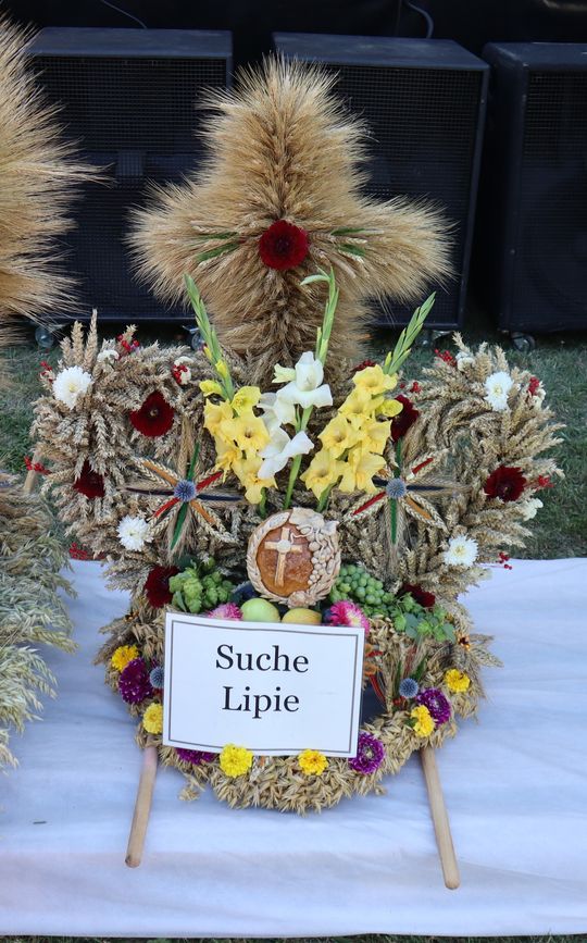 Gm. Rudnik. Dożynek czas! [GALERIA ZDJĘĆ] cz. II