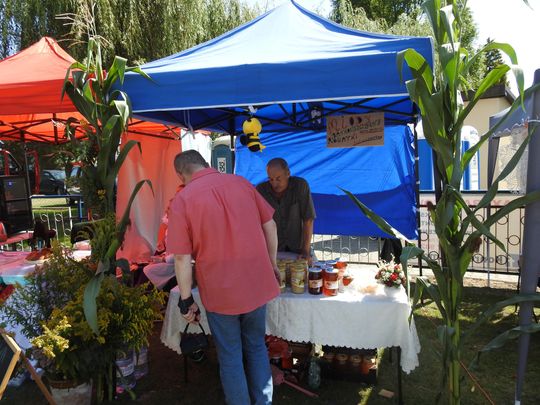 Tak świętowano dożynki w gminie Izbica [GALERIA ZDJĘĆ] 