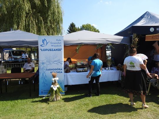 Tak świętowano dożynki w gminie Izbica [GALERIA ZDJĘĆ] 