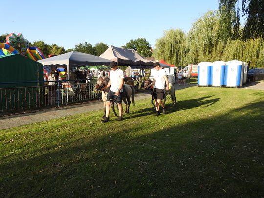 Tak świętowano dożynki w gminie Izbica [GALERIA ZDJĘĆ] 