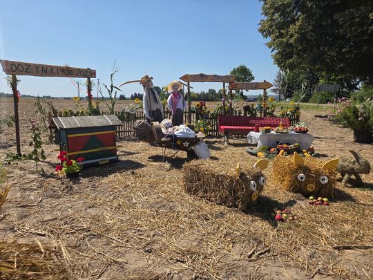 Tak świętowano dożynki w gminie Izbica [GALERIA ZDJĘĆ] 