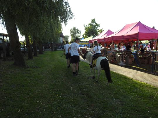 Tak świętowano dożynki w gminie Izbica [GALERIA ZDJĘĆ] 