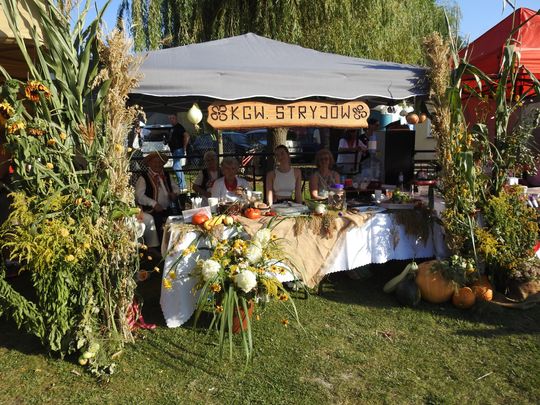 Tak świętowano dożynki w gminie Izbica [GALERIA ZDJĘĆ] 