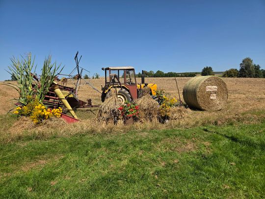 Tak świętowano dożynki w gminie Izbica [GALERIA ZDJĘĆ] 