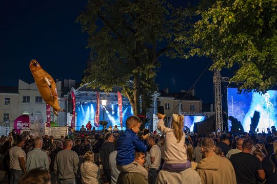 Chmielaki Krasnostawskie 2025 - dni pełne muzyki, piwa, tradycji i dobrej zabawy cz. III [GALERIA ZDJĘĆ]