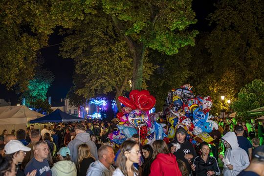 Chmielaki Krasnostawskie 2025 - dni pełne muzyki, piwa, tradycji i dobrej zabawy cz. III [GALERIA ZDJĘĆ]