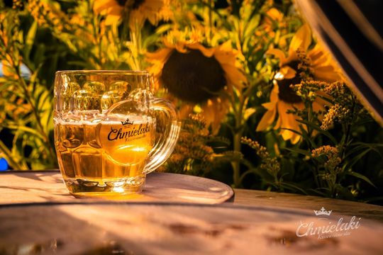 Chmielaki Krasnostawskie 2025 - dni pełne muzyki, piwa, tradycji i dobrej zabawy cz. III [GALERIA ZDJĘĆ]