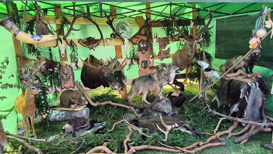 Dożynki Gminy Białopole 2025 [GALERIA ZDJĘĆ]