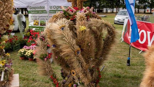 Dożynki gminy Chełm 2025 [GALERIA ZDJĘĆ]