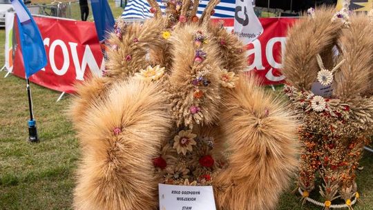 Dożynki gminy Chełm 2025 [GALERIA ZDJĘĆ]