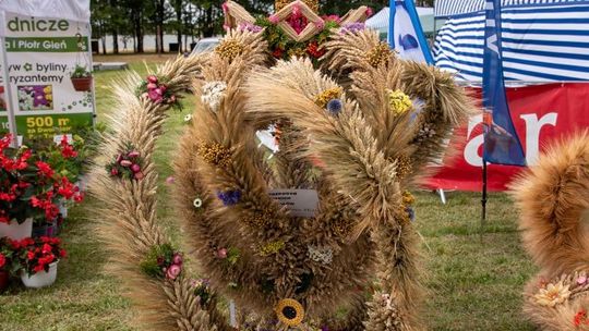 Dożynki gminy Chełm 2025 [GALERIA ZDJĘĆ]