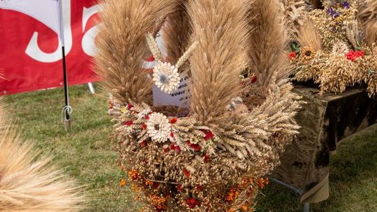 Dożynki gminy Chełm 2025 [GALERIA ZDJĘĆ]