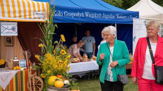 Dożynki gminy Chełm 2025 [GALERIA ZDJĘĆ]