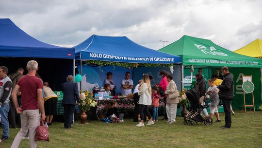 Dożynki gminy Chełm 2025 [GALERIA ZDJĘĆ]