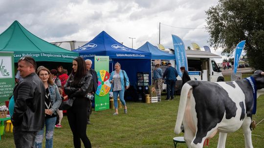 Dożynki gminy Chełm 2025 [GALERIA ZDJĘĆ]