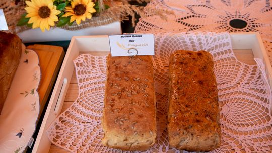 Dożynki gminy Chełm 2025 [GALERIA ZDJĘĆ]