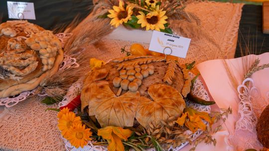 Dożynki gminy Chełm 2025 [GALERIA ZDJĘĆ]