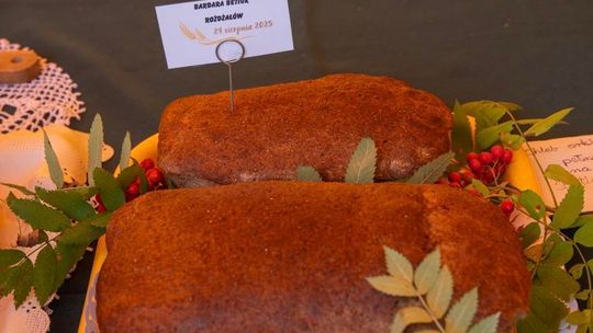 Dożynki gminy Chełm 2025 [GALERIA ZDJĘĆ]