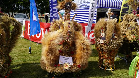 Dożynki gminy Chełm 2025 [GALERIA ZDJĘĆ]