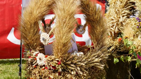 Dożynki gminy Chełm 2025 [GALERIA ZDJĘĆ]