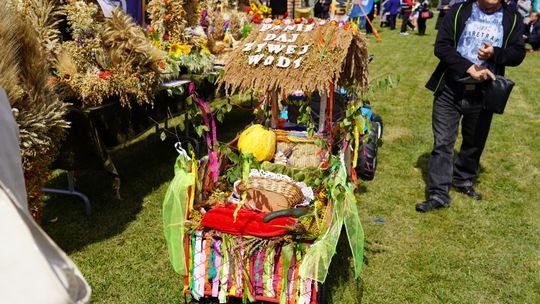 Dożynki gminy Chełm 2025 [GALERIA ZDJĘĆ]