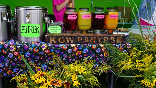 Dożynki gminy Chełm 2025 [GALERIA ZDJĘĆ]