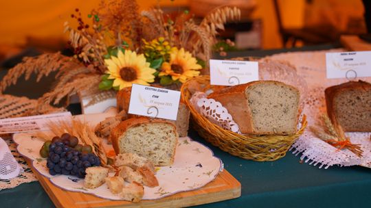 Dożynki gminy Chełm 2025 [GALERIA ZDJĘĆ]