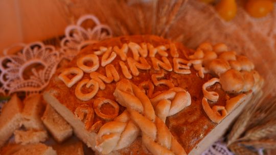 Dożynki gminy Chełm 2025 [GALERIA ZDJĘĆ]