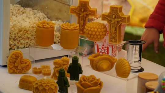 Dożynki gminy Chełm 2025 [GALERIA ZDJĘĆ]