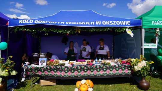 Dożynki gminy Chełm 2025 [GALERIA ZDJĘĆ]