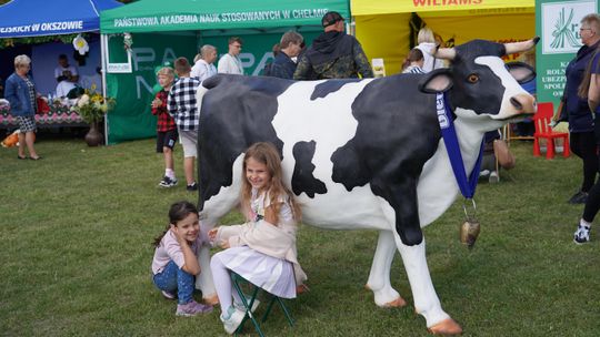 Dożynki gminy Chełm 2025 [GALERIA ZDJĘĆ]