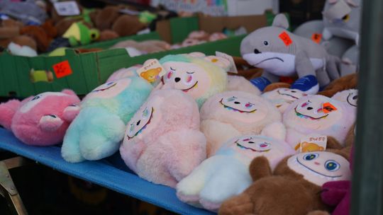 Dożynki gminy Chełm 2025 [GALERIA ZDJĘĆ]