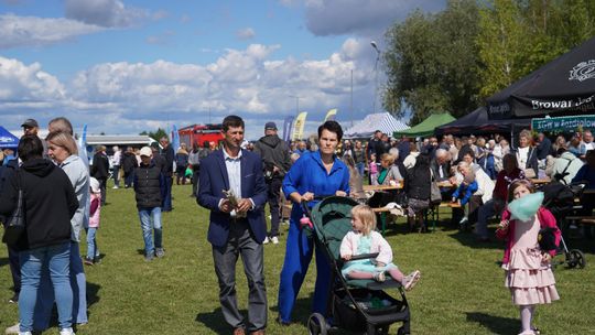 Dożynki gminy Chełm 2025 [GALERIA ZDJĘĆ]