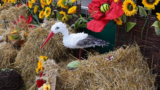 Dożynki gminy Chełm 2025 [GALERIA ZDJĘĆ]