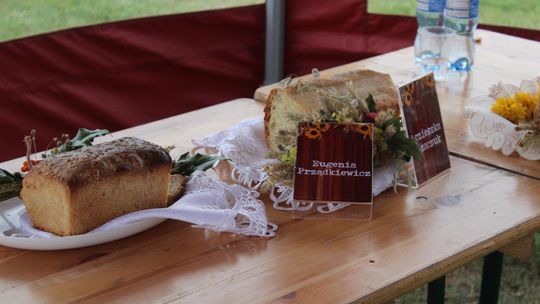 Dożynki Gminy Dorohusk 2025 [GALERIA ZDJĘĆ]