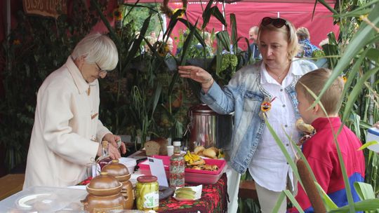 Dożynki Gminy Dorohusk 2025 [GALERIA ZDJĘĆ]