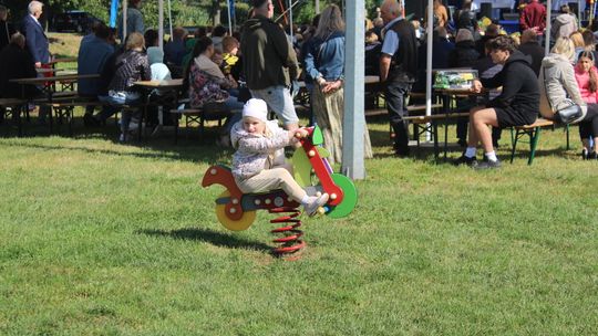 Dożynki Gminy Kamień 2025 [GALERIA ZDJĘĆ]