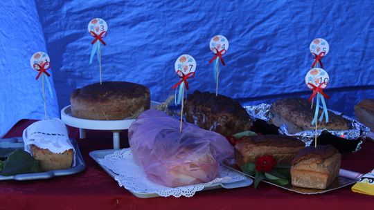 Dożynki Gminy Kamień 2025 [GALERIA ZDJĘĆ]