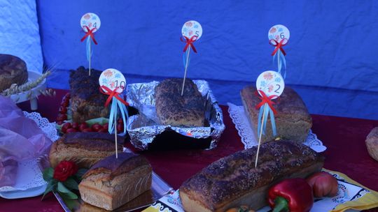 Dożynki Gminy Kamień 2025 [GALERIA ZDJĘĆ]