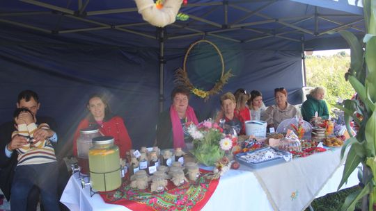 Dożynki Gminy Kamień 2025 [GALERIA ZDJĘĆ]