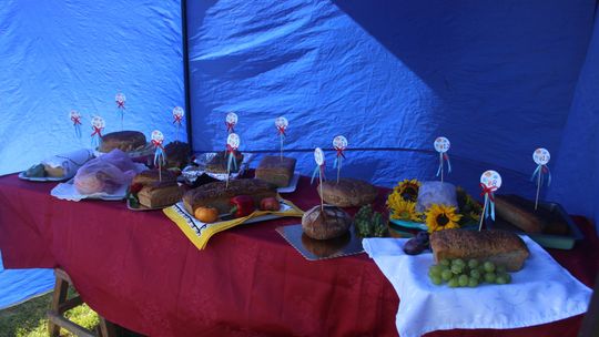 Dożynki Gminy Kamień 2025 [GALERIA ZDJĘĆ]