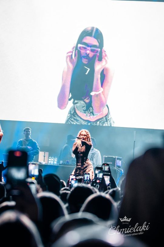 Chmielaki Krasnostawskie 2025 - dni pełne muzyki, piwa, tradycji i dobrej zabawy cz. IV [GALERIA ZDJĘĆ]